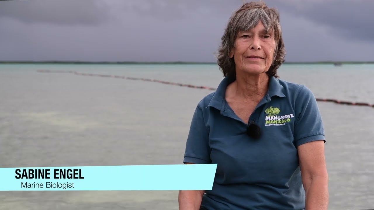 Mangrove restoration on Bonaire – supported by EU funding