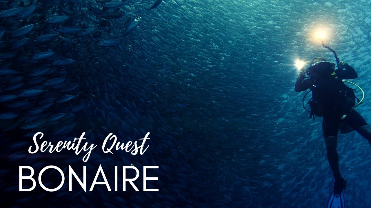 BONAIRE DIVERS PARADISE︱CARIBBEAN SEA︱ WORLD BEST SHORE DIVING︱4K VIDEO
