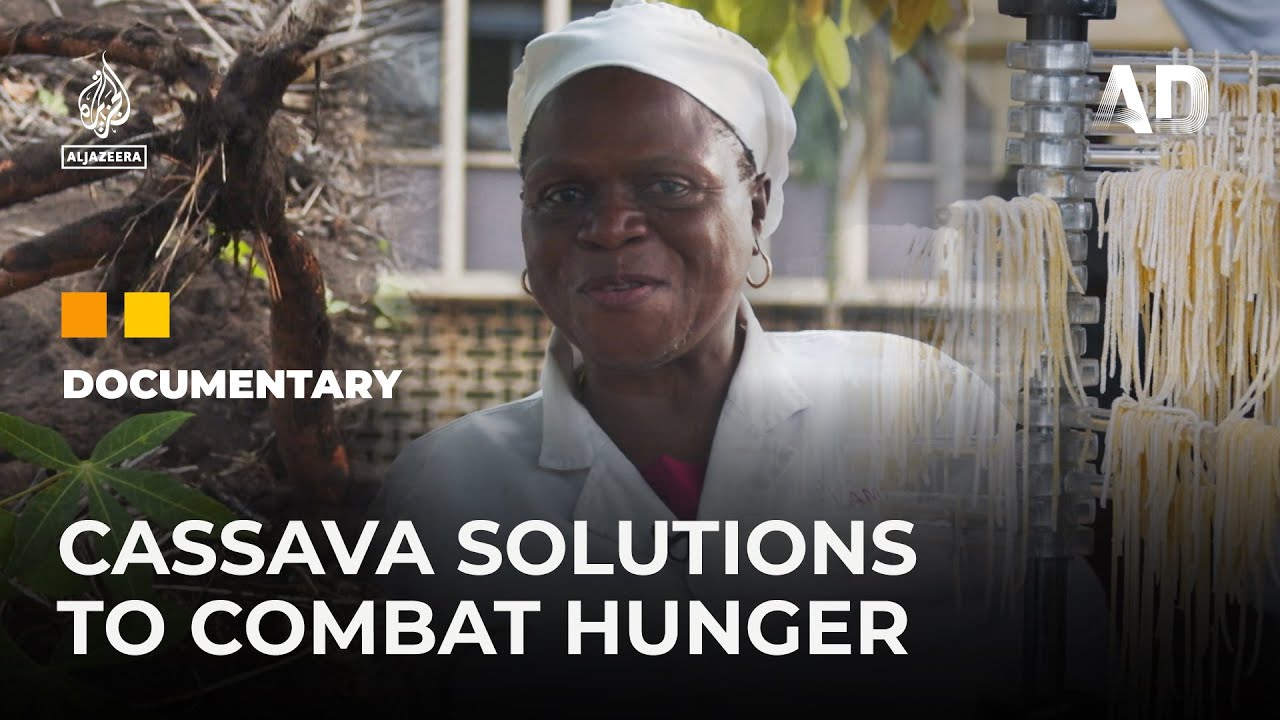 Reinventing Cassava in DR Congo | Africa Direct Documentary
