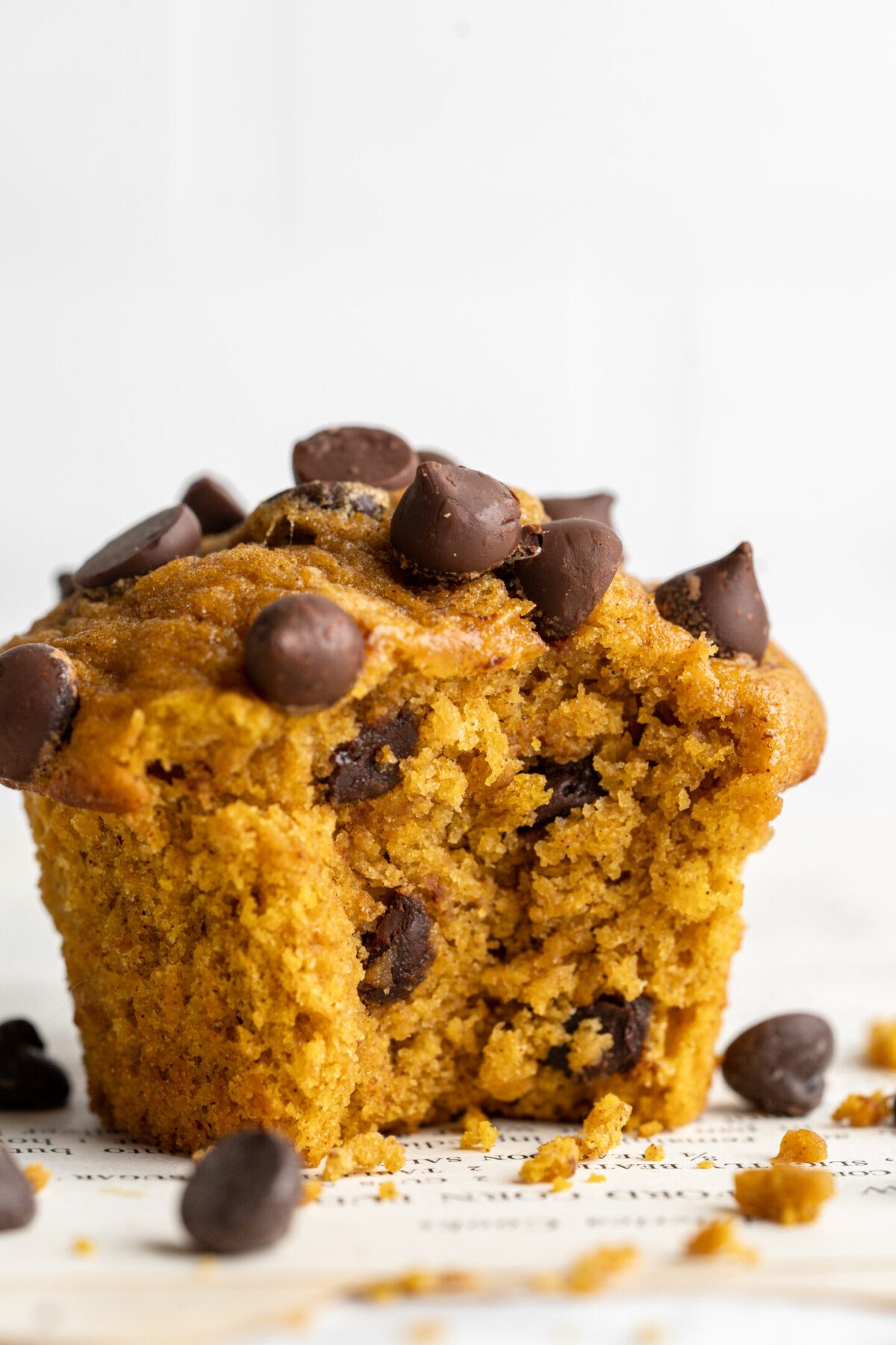 Pumpkin Chocolate Chip Muffins | Jessica in the Kitchen