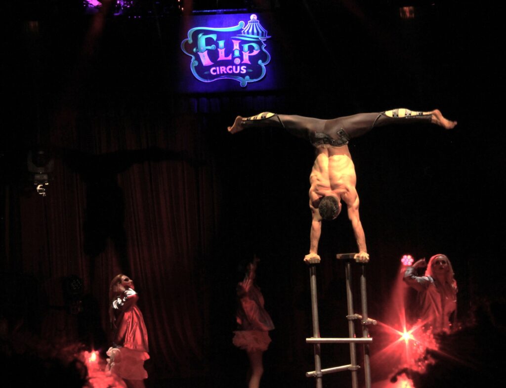 Out & About: Non-Animal Circus, Handel’s Messiah, Veterans’ Month & More!