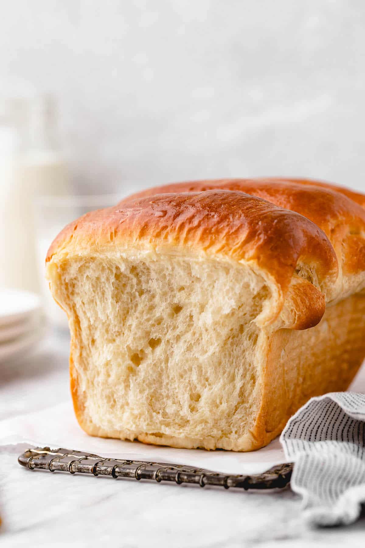 Is Bread Vegan? | Jessica in the Kitchen