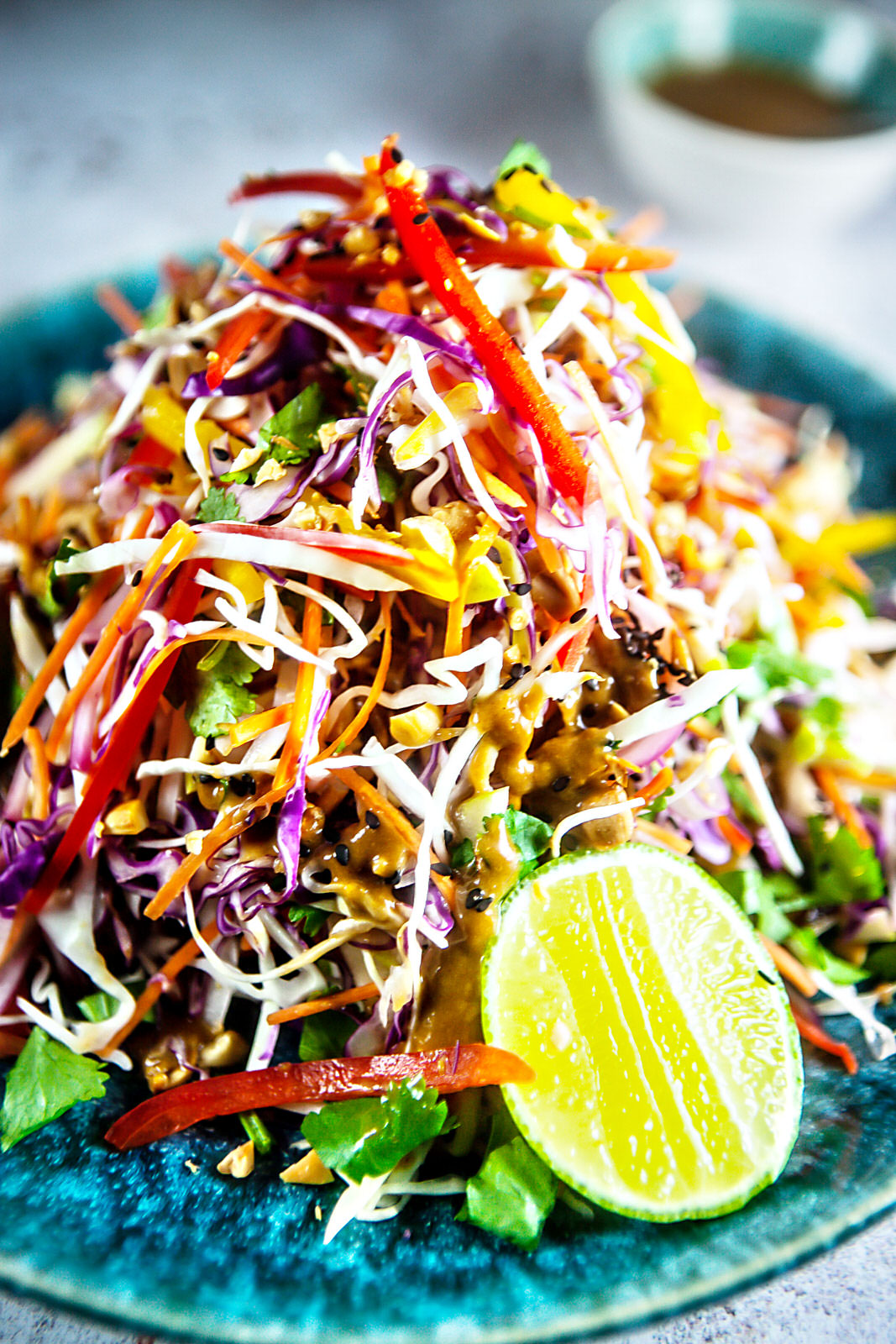 Nigerian Salad aka Coleslaw – Plant Food Federation