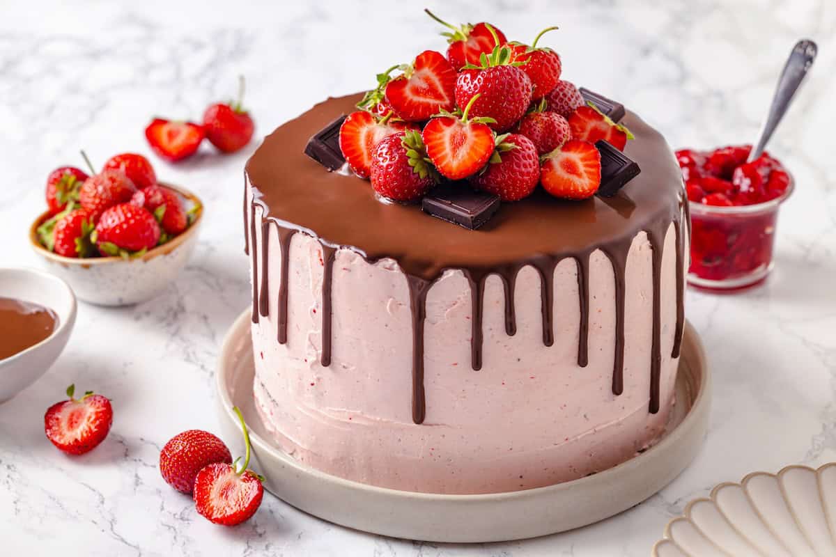 Decadent Chocolate Strawberry Cake | Jessica in the Kitchen